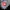 Nike Y2K Sportswear Fleece Pria gray photo 3
