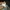 Nike Y2K Sportswear Fleece Pria gray photo 4