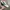 Nike Streetwear Casual Sneakers Wanita multicolor white photo 2