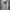 Under Armour Sportswear Casual Hoody Pria White