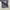 Polo Ralph Lauren Streetwear Casual Jeans Pria multicolor blue photo 5