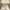 New Balance Casual Sneakers Wanita cream photo 1