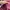 Vintage Streetwear Suit Pria burgundy photo 7