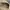 Levi's Casual Formal pants Pria cream photo 6