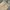 Levi's Casual Formal pants Pria cream photo 4