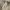Levi's Casual Formal pants Pria cream photo 7