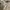 Levi's Casual Formal pants Pria cream photo 8