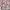 Japanese brand Coquette Casual Mini skirt Wanita multicolor pink photo 2