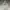 Nike Streetwear Casual Hoody Pria gray photo 1