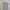 Levi's Vintage Polo shirt Pria gray photo 1