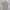 Levi's Vintage Polo Shirt Pria Gray