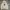 Teenie Weenie Minimalist Hoody Pria cream photo 1