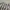 Zara Casual Polo shirt Pria white photo 4