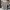 Zara Casual Polo shirt Pria white photo 1