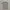Zara Casual Polo shirt Pria white photo 3