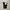Dickies Streetwear Formal Pants Pria Navy