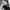 Adidas Casual Sneakers Pria green photo 6