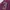 Polo Ralph Lauren Vintage Polo shirt Pria burgundy photo 4