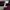 Polo Ralph Lauren Vintage Polo shirt Pria burgundy photo 8