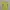 Yonex Sportswear Polo shirt Pria yellow photo 1