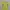 Yonex Sportswear Polo Shirt Pria Yellow