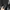 Karl Kani Luxury Sweater Pria gray photo 2