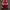 Adidas Casual Track jacket Pria white red photo 1