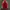 Adidas Casual Track jacket Pria white red photo 2