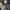 Japanese brand Streetwear Gorpcore Casual pants Pria green photo 6