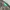 Japanese brand Streetwear Gorpcore Casual pants Pria green photo 8