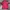 The North Face Gorpcore Sportswear Jersey Pria red photo 1
