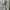 Polo Ralph Lauren Casual Hoody Pria gray photo 3