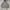 Polo Ralph Lauren Casual Hoody Pria gray photo 1