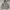 Polo Ralph Lauren Casual Hoody Pria Gray