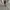 Polo Ralph Lauren Casual Hoody Pria gray photo 2