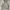 Polo Ralph Lauren Casual Hoody Pria Gray