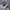 Converse Gorpcore Sneakers Pria blue gray photo 1