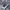 Converse Gorpcore Sneakers Pria Blue Gray
