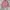 Polo Ralph Lauren Casual Formal shirt Pria pink photo 1