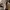 Dior Casual Sneakers Pria white tan photo 2