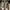 Dior Casual Sneakers Pria white tan photo 1