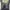 Japanese brand Vintage Lolita Wanita white black photo 4