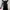 Japanese brand Vintage Coquette Evening dress Wanita black photo 3