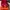 Nike Sportswear Sneakers Kids multicolor red photo 2