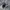 Nike Casual Sneakers Pria white black photo 1