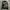 Nike Streetwear Sweater Pria brown black photo 1