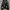 Dirty Business Streetwear Hoody Pria white black photo 2
