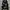 Dirty Business Streetwear Hoody Pria white black photo 1