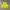 Vintage Sportswear Windbreaker Pria yellow photo 4