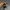 Arc'teryx Sportswear Sneakers Pria gray photo 3